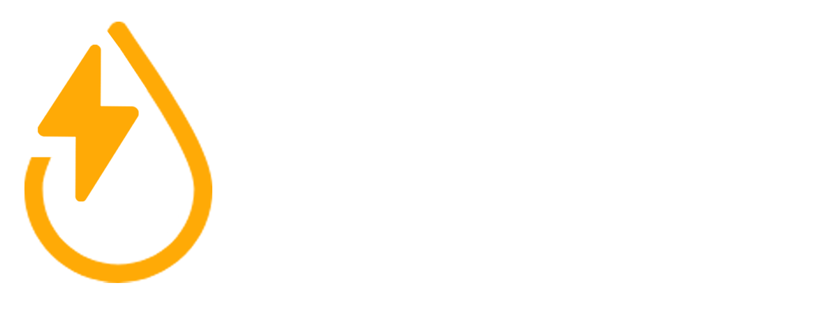 DFN System Logo